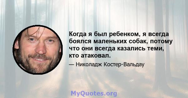 Когда я был ребенком, я всегда боялся маленьких собак, потому что они всегда казались теми, кто атаковал.