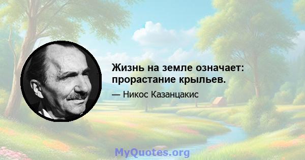 Жизнь на земле означает: прорастание крыльев.