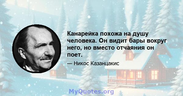 Канарейка похожа на душу человека. Он видит бары вокруг него, но вместо отчаяния он поет.