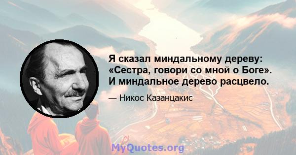 Я сказал миндальному дереву: «Сестра, говори со мной о Боге». И миндальное дерево расцвело.