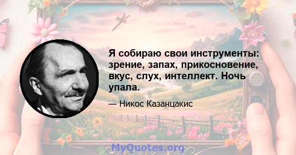 Я собираю свои инструменты: зрение, запах, прикосновение, вкус, слух, интеллект. Ночь упала.