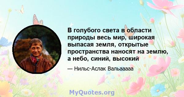 В голубого света в области природы весь мир, широкая выпасая земля, открытые пространства наносят на землю, а небо, синий, высокий