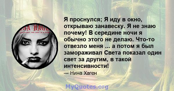 Я проснулся; Я иду в окно, открываю занавеску. Я не знаю почему! В середине ночи я обычно этого не делаю. Что-то отвезло меня ... а потом я был замораживал Света показал один свет за другим, в такой интенсивности!