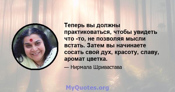 Теперь вы должны практиковаться, чтобы увидеть что -то, не позволяя мысли встать. Затем вы начинаете сосать свой дух, красоту, славу, аромат цветка.