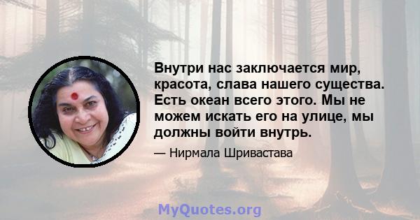 Внутри нас заключается мир, красота, слава нашего существа. Есть океан всего этого. Мы не можем искать его на улице, мы должны войти внутрь.