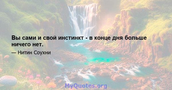 Вы сами и свой инстинкт - в конце дня больше ничего нет.