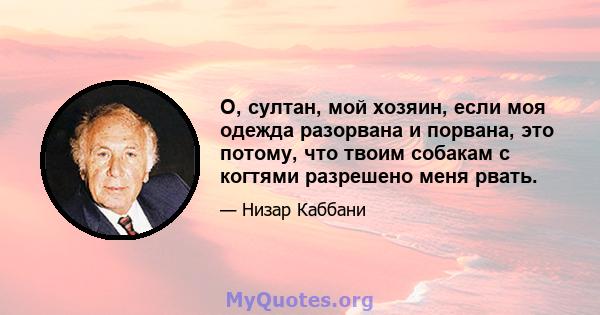 О, султан, мой хозяин, если моя одежда разорвана и порвана, это потому, что твоим собакам с когтями разрешено меня рвать.