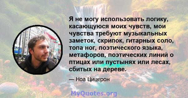 Я не могу использовать логику, касающуюся моих чувств, мои чувства требуют музыкальных заметок, скрипок, гитарных соло, топа ног, поэтического языка, метафоров, поэтических линий о птицах или пустынях или лесах, сбитых