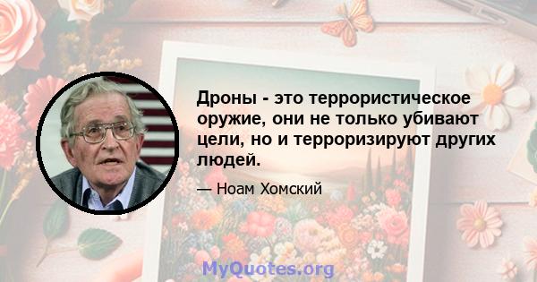 Дроны - это террористическое оружие, они не только убивают цели, но и терроризируют других людей.