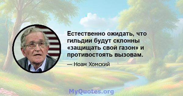 Естественно ожидать, что гильдии будут склонны «защищать свой газон» и противостоять вызовам.