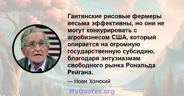 Гаитянские рисовые фермеры весьма эффективны, но они не могут конкурировать с агробизнесом США, который опирается на огромную государственную субсидию, благодаря энтузиазмам свободного рынка Рональда Рейгана.