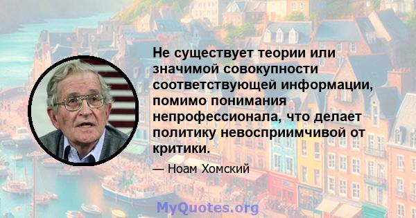 Не существует теории или значимой совокупности соответствующей информации, помимо понимания непрофессионала, что делает политику невосприимчивой от критики.