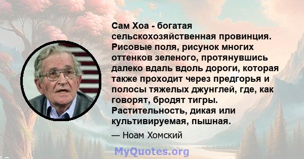 Сам Хоа - богатая сельскохозяйственная провинция. Рисовые поля, рисунок многих оттенков зеленого, протянувшись далеко вдаль вдоль дороги, которая также проходит через предгорья и полосы тяжелых джунглей, где, как