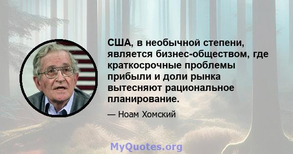 США, в необычной степени, является бизнес-обществом, где краткосрочные проблемы прибыли и доли рынка вытесняют рациональное планирование.