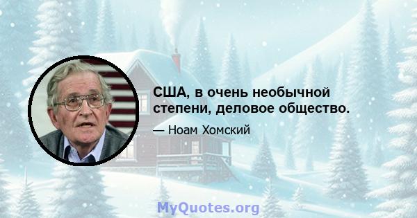 США, в очень необычной степени, деловое общество.