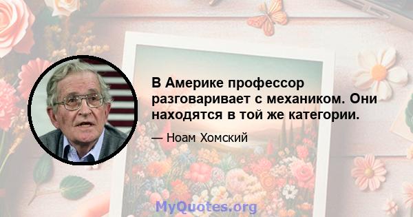 В Америке профессор разговаривает с механиком. Они находятся в той же категории.