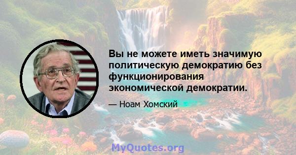 Вы не можете иметь значимую политическую демократию без функционирования экономической демократии.