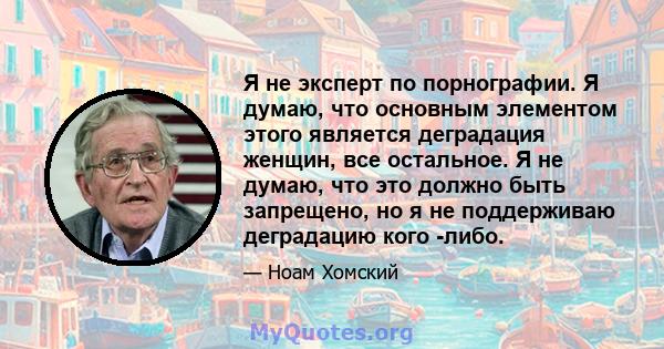 Я не эксперт по порнографии. Я думаю, что основным элементом этого является деградация женщин, все остальное. Я не думаю, что это должно быть запрещено, но я не поддерживаю деградацию кого -либо.