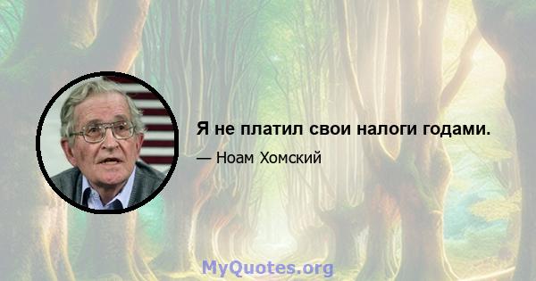 Я не платил свои налоги годами.