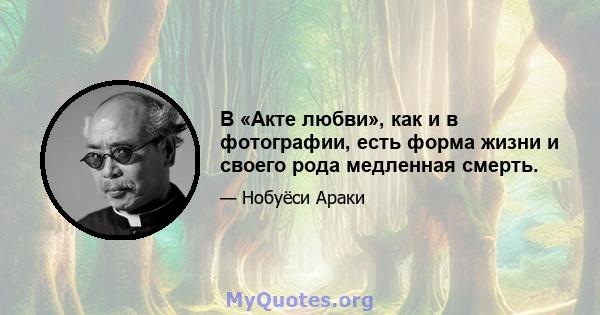 В «Акте любви», как и в фотографии, есть форма жизни и своего рода медленная смерть.