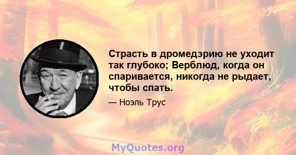 Страсть в дромедэрию не уходит так глубоко; Верблюд, когда он спаривается, никогда не рыдает, чтобы спать.