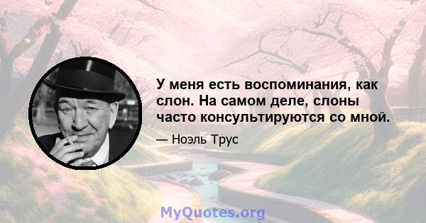 У меня есть воспоминания, как слон. На самом деле, слоны часто консультируются со мной.