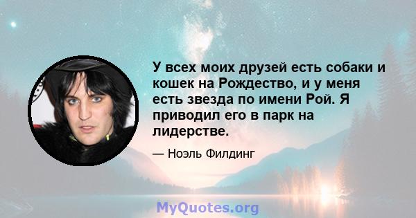 У всех моих друзей есть собаки и кошек на Рождество, и у меня есть звезда по имени Рой. Я приводил его в парк на лидерстве.