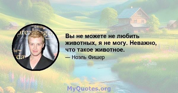 Вы не можете не любить животных, я не могу. Неважно, что такое животное.