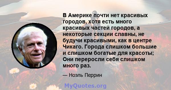 В Америке почти нет красивых городов, хотя есть много красивых частей городов, а некоторые секции славны, не будучи красивыми, как в центре Чикаго. Города слишком большие и слишком богатые для красоты; Они переросли