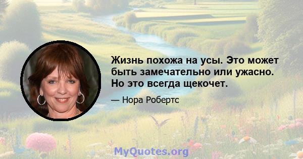 Жизнь похожа на усы. Это может быть замечательно или ужасно. Но это всегда щекочет.