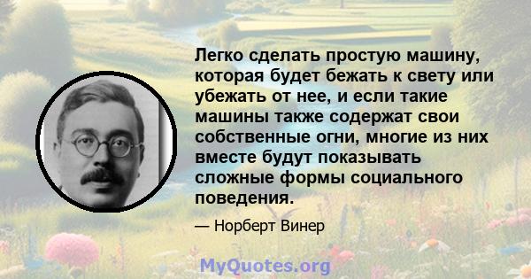 Легко сделать простую машину, которая будет бежать к свету или убежать от нее, и если такие машины также содержат свои собственные огни, многие из них вместе будут показывать сложные формы социального поведения.