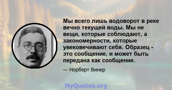 Мы всего лишь водоворот в реке вечно текущей воды. Мы не вещи, которые соблюдают, а закономерности, которые увековечивают себя. Образец - это сообщение, и может быть передана как сообщение.