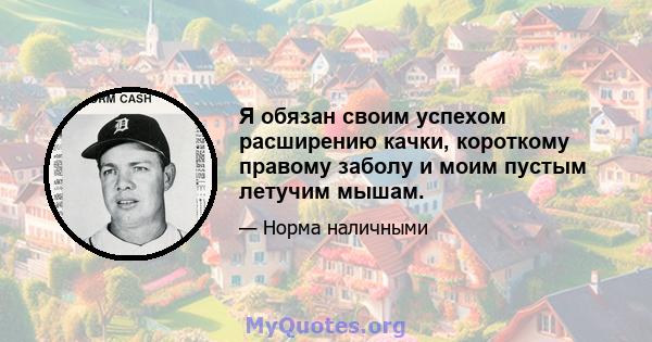 Я обязан своим успехом расширению качки, короткому правому заболу и моим пустым летучим мышам.