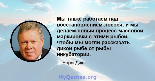 Мы также работаем над восстановлением лосося, и мы делаем новый процесс массовой маркировки с этими рыбой, чтобы мы могли рассказать дикой рыбе от рыбы инкубатории.