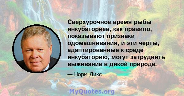 Сверхурочное время рыбы инкубаториев, как правило, показывают признаки одомашнивания, и эти черты, адаптированные к среде инкубаторию, могут затруднить выживание в дикой природе.