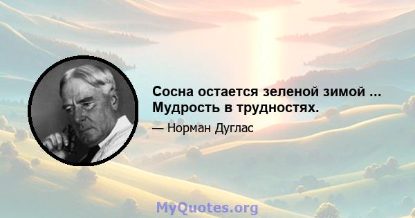 Сосна остается зеленой зимой ... Мудрость в трудностях.