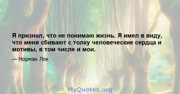 Я признал, что не понимаю жизнь. Я имел в виду, что меня сбивают с толку человеческие сердца и мотивы, в том числе и мои.