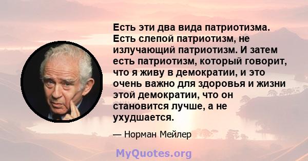 Есть эти два вида патриотизма. Есть слепой патриотизм, не излучающий патриотизм. И затем есть патриотизм, который говорит, что я живу в демократии, и это очень важно для здоровья и жизни этой демократии, что он