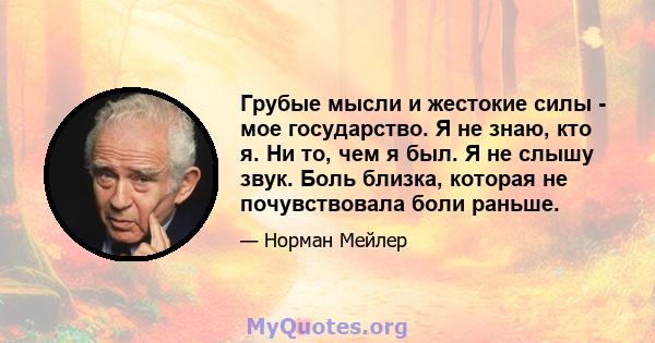 Грубые мысли и жестокие силы - мое государство. Я не знаю, кто я. Ни то, чем я был. Я не слышу звук. Боль близка, которая не почувствовала боли раньше.