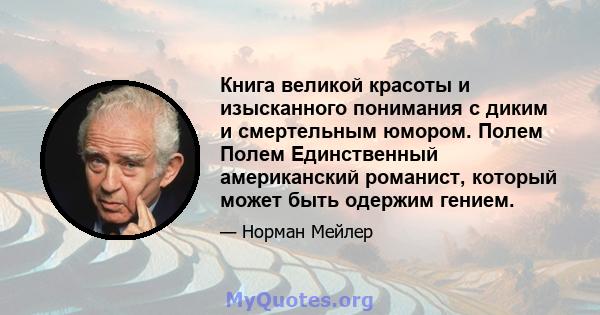 Книга великой красоты и изысканного понимания с диким и смертельным юмором. Полем Полем Единственный американский романист, который может быть одержим гением.