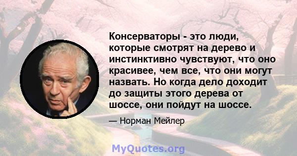 Консерваторы - это люди, которые смотрят на дерево и инстинктивно чувствуют, что оно красивее, чем все, что они могут назвать. Но когда дело доходит до защиты этого дерева от шоссе, они пойдут на шоссе.