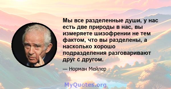 Мы все разделенные души, у нас есть две природы в нас, вы измеряете шизофрении не тем фактом, что вы разделены, а насколько хорошо подразделения разговаривают друг с другом.