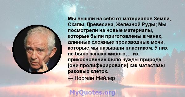 Мы вышли на себя от материалов Земли, Скалы, Древесина, Железной Руды; Мы посмотрели на новые материалы, которые были приготовлены в чанах, длинные сложные производные мочи, которые мы называли пластиком. У них не было