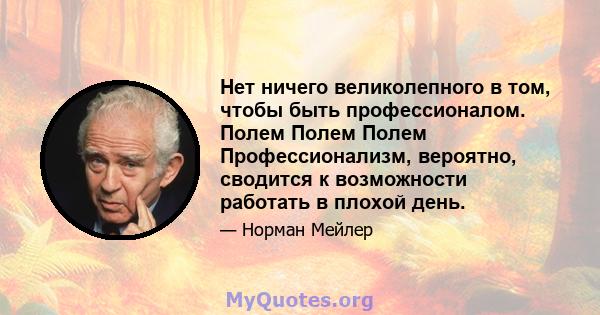 Нет ничего великолепного в том, чтобы быть профессионалом. Полем Полем Полем Профессионализм, вероятно, сводится к возможности работать в плохой день.