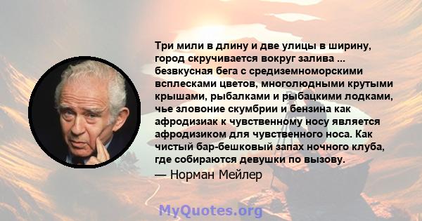 Три мили в длину и две улицы в ширину, город скручивается вокруг залива ... безвкусная бега с средиземноморскими всплесками цветов, многолюдными крутыми крышами, рыбалками и рыбацкими лодками, чье зловоние скумбрии и