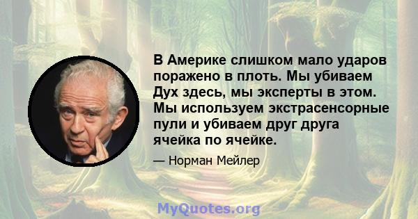 В Америке слишком мало ударов поражено в плоть. Мы убиваем Дух здесь, мы эксперты в этом. Мы используем экстрасенсорные пули и убиваем друг друга ячейка по ячейке.