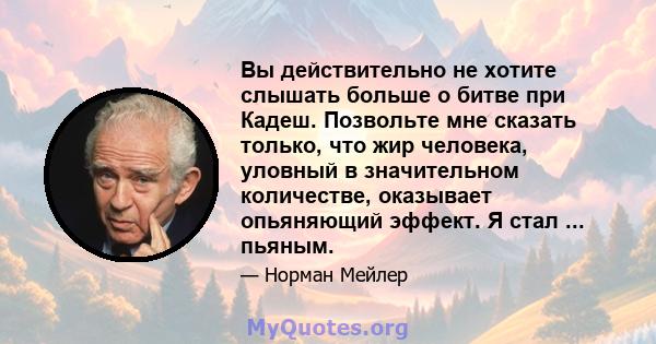 Вы действительно не хотите слышать больше о битве при Кадеш. Позвольте мне сказать только, что жир человека, уловный в значительном количестве, оказывает опьяняющий эффект. Я стал ... пьяным.