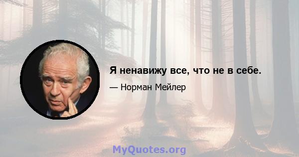 Я ненавижу все, что не в себе.