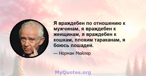 Я враждебен по отношению к мужчинам, я враждебен к женщинам, я враждебен к кошкам, плохим тараканам, я боюсь лошадей.