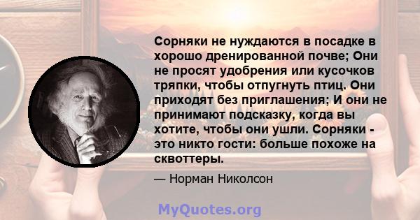 Сорняки не нуждаются в посадке в хорошо дренированной почве; Они не просят удобрения или кусочков тряпки, чтобы отпугнуть птиц. Они приходят без приглашения; И они не принимают подсказку, когда вы хотите, чтобы они